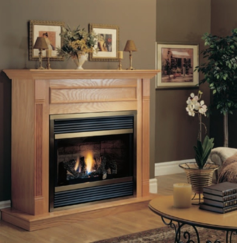 CHIMENEA ESTANCA DBT39 VERSIÓN TRONCOS